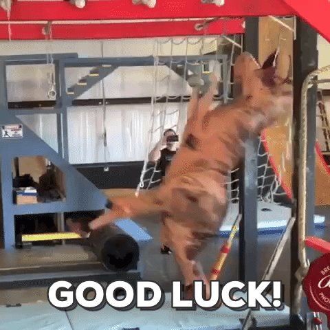 Good luck!