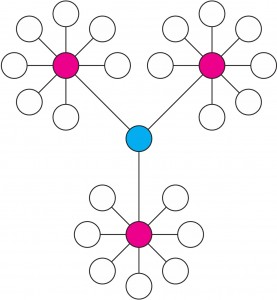 A network of three pink hub nodes, each with eight white leaf neighbours, all three hubs joined to a single blue node in the middle