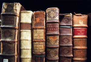 Photograph of a row of old leather-bound books standing on a shelf, their spines worn and gilt-lettered