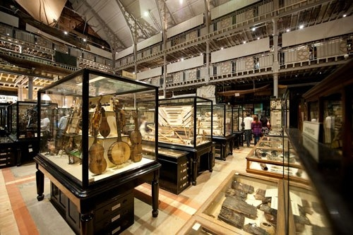 Pitt Rivers Museum display cabinets