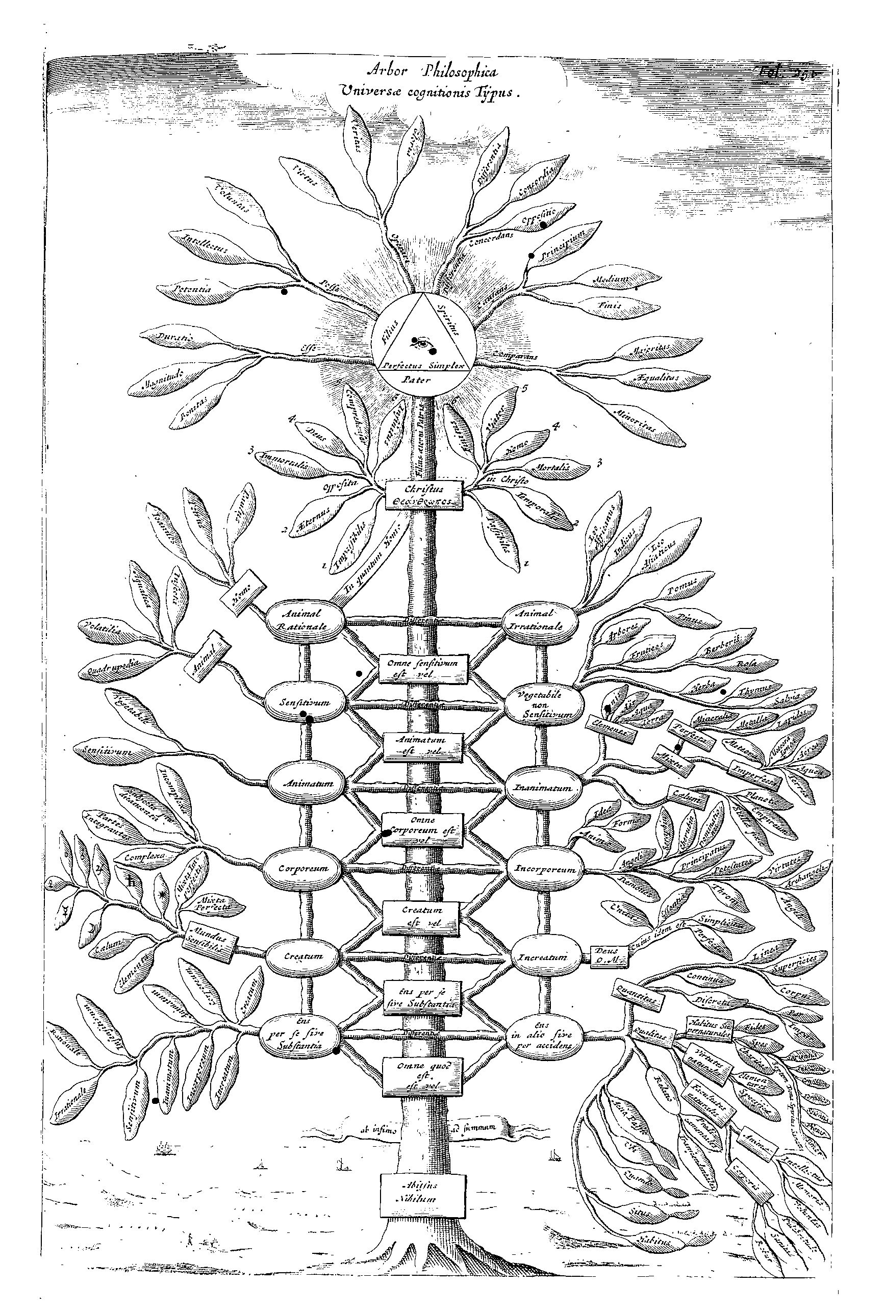 Kircher’s Philosophical tree representing all branches of knowledge, from Ars Magna Sciendi (1669), p. 251.