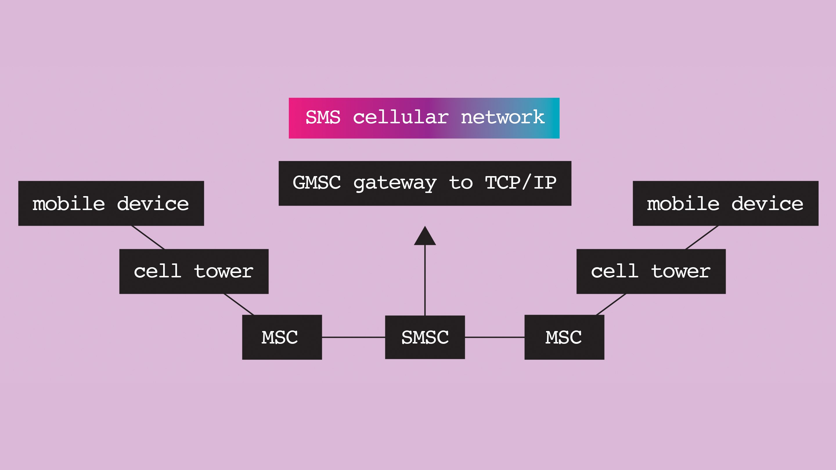 Fig 4. SMS cellular network. Image: Cathryn Virginia