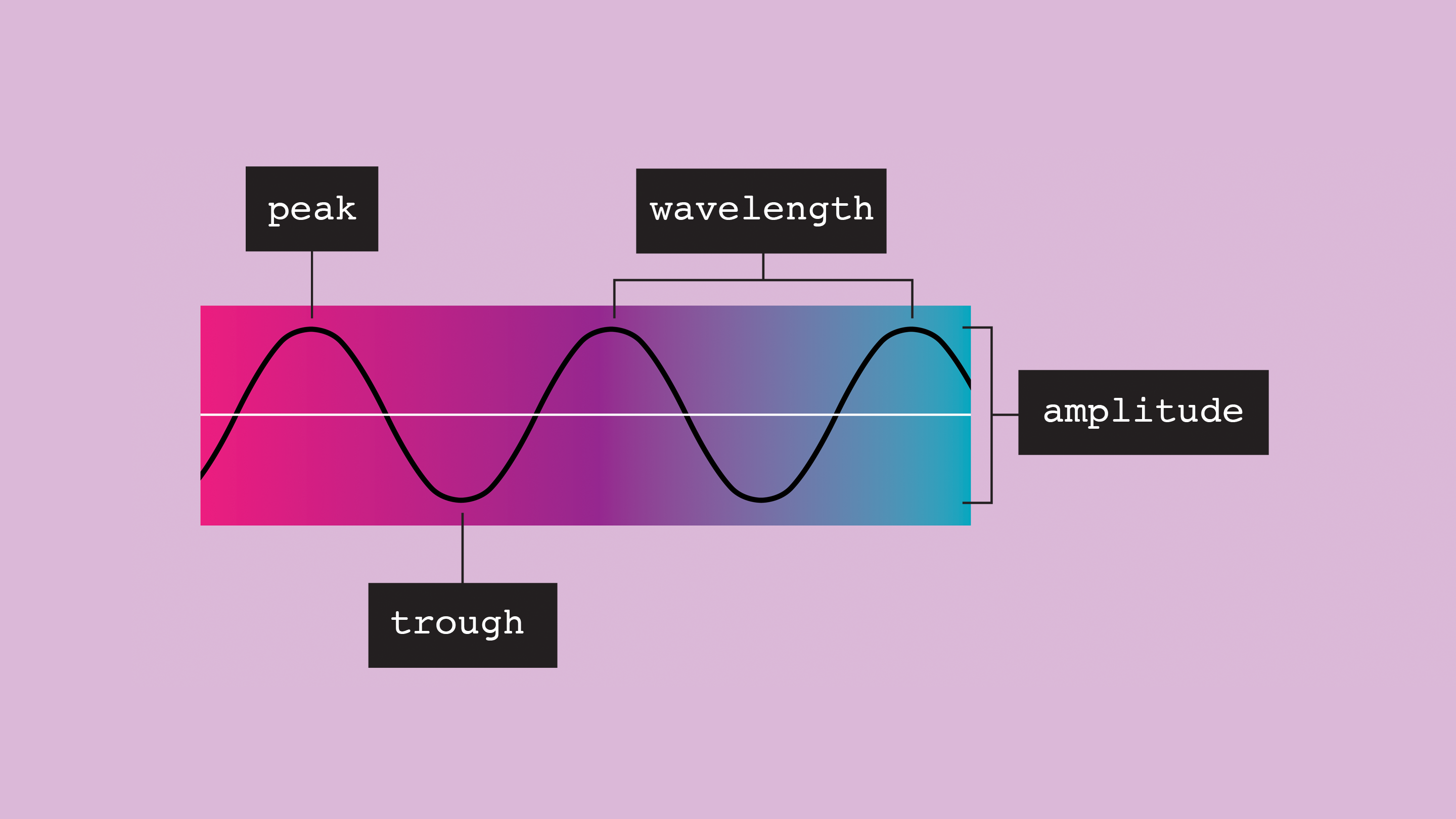 Fig 6. Wavelength. Image: Cathryn Virginia